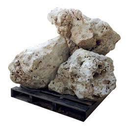 PIETRA MURGESE ANTICATA ESEMPLARE